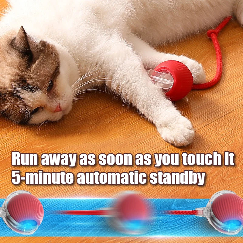 Juguete interactivo para gatos con cola falsa, bola giratoria automática