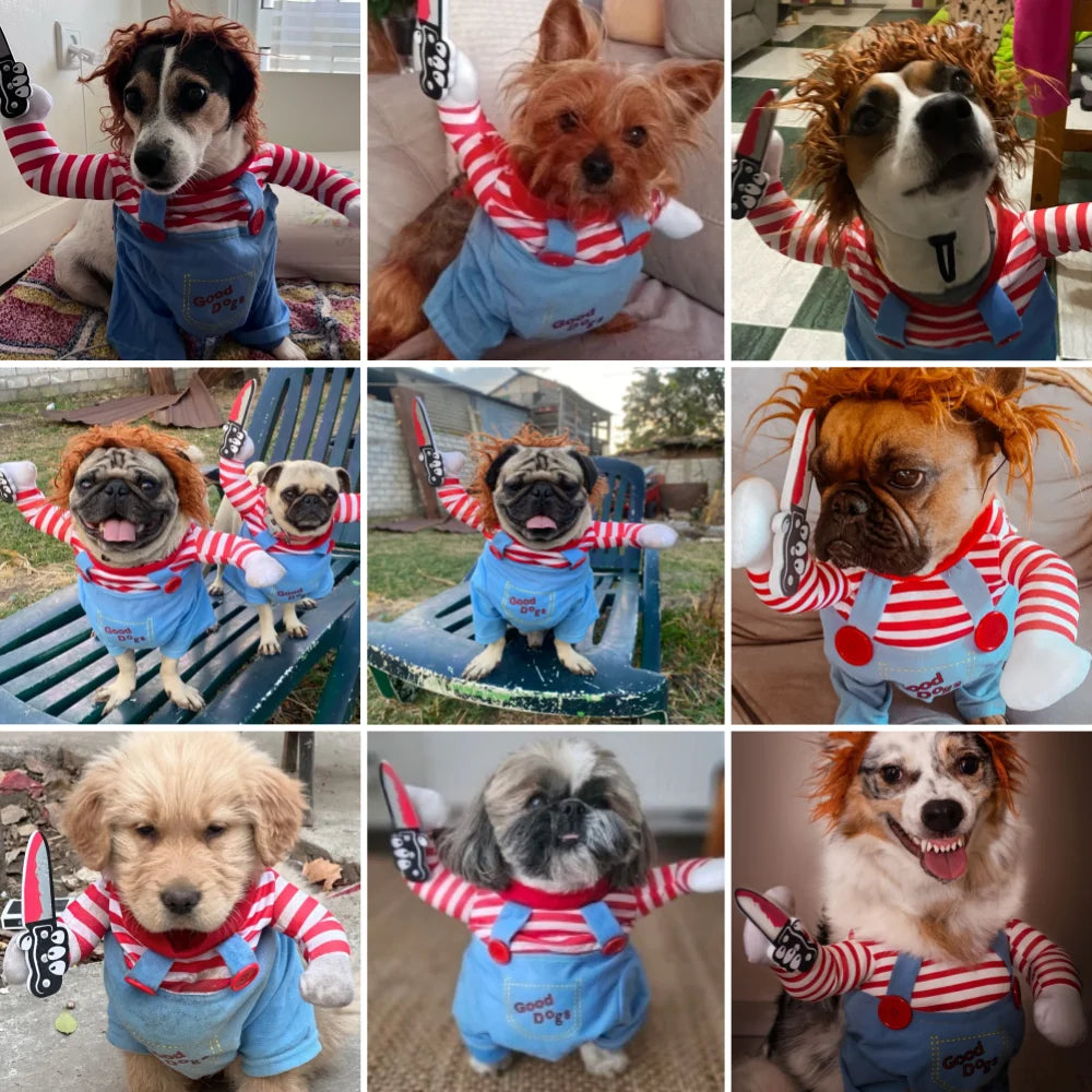 Disfraz de Halloween para mascotas, perros y gatos