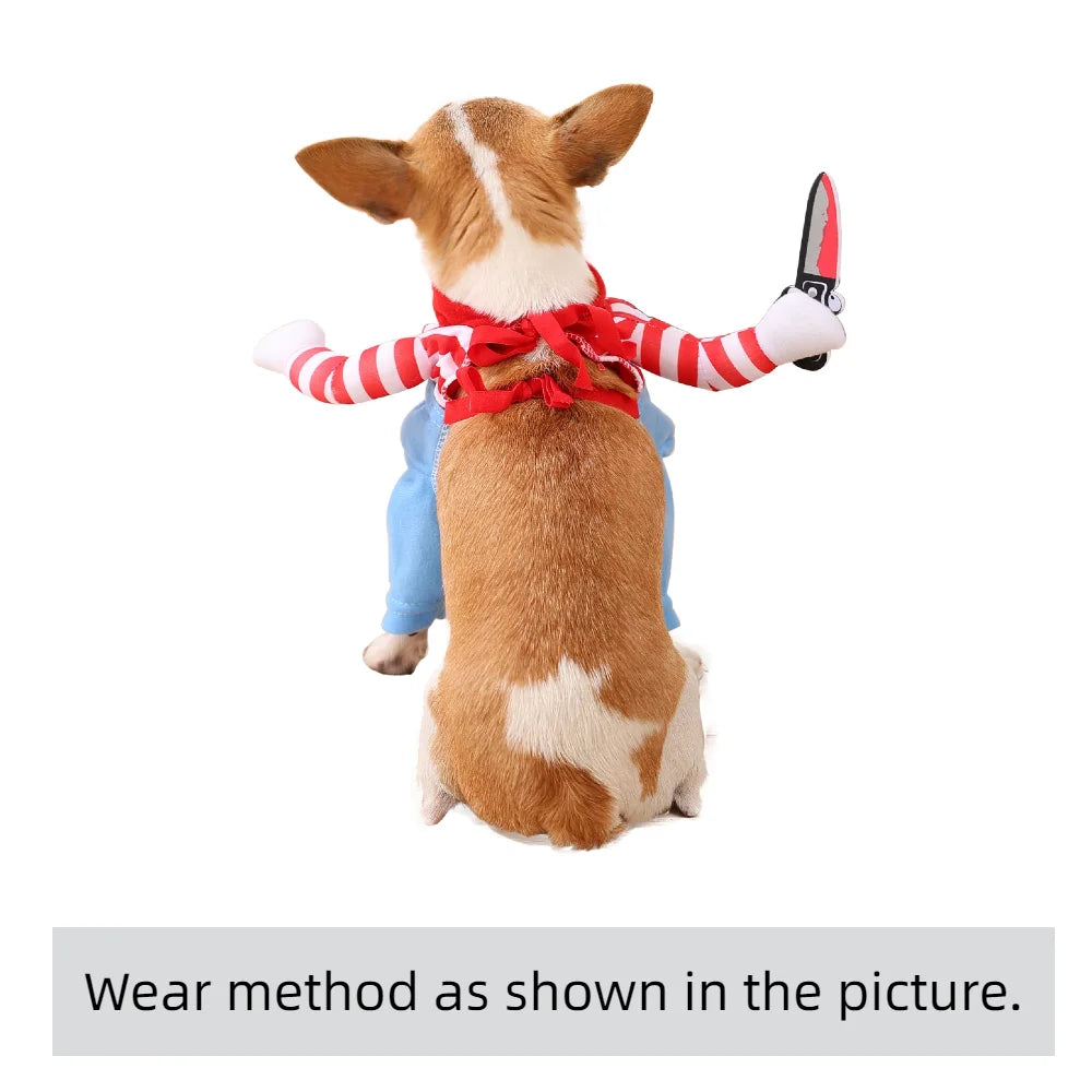 Disfraz de Halloween para mascotas, perros y gatos