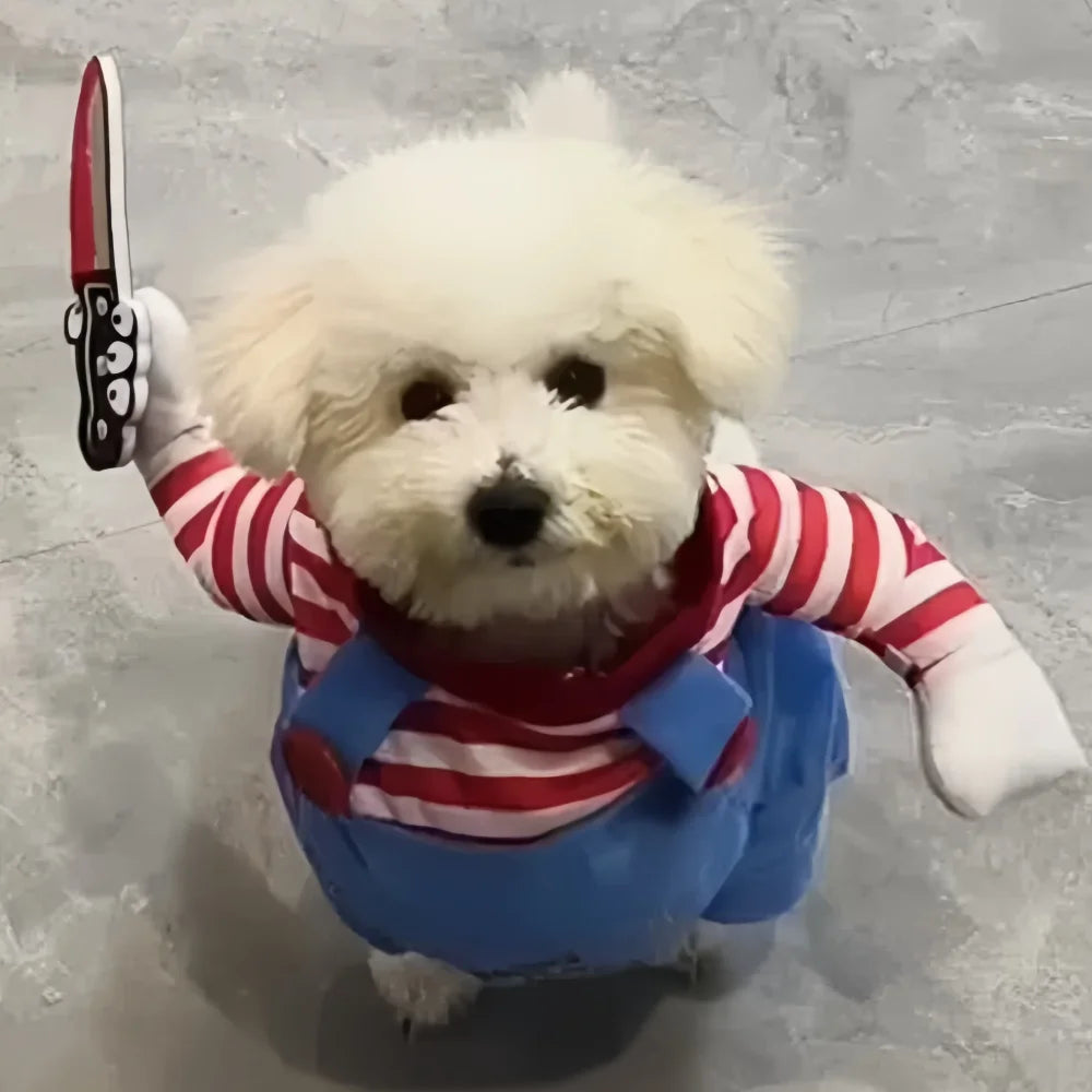 Disfraz de Halloween para mascotas, perros y gatos